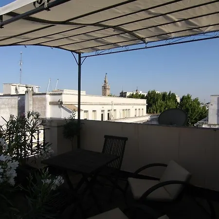 فندق Plaza 3*